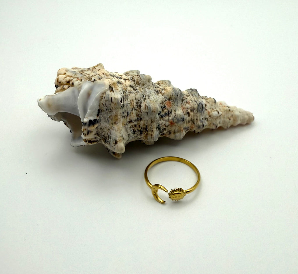 Sun & Moon Ring